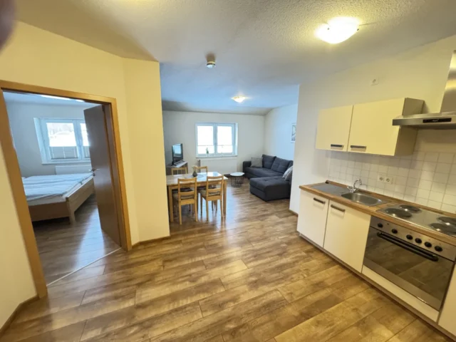 Apartment 1 Küche und Wohnzimmer